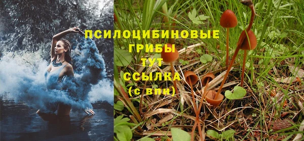 первитин Волосово