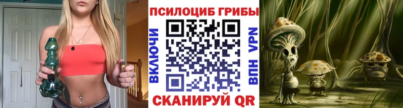 Псилоцибиновые грибы Psilocybine cubensis  Дзержинск 